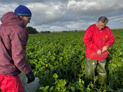 Monitoring Cover Crops for Carbon Farming